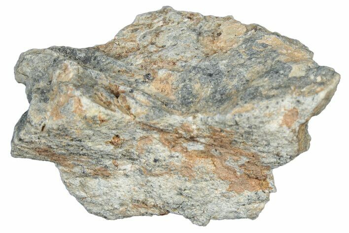 Lunar Meteorite Fragment ( g) - NWA #304088